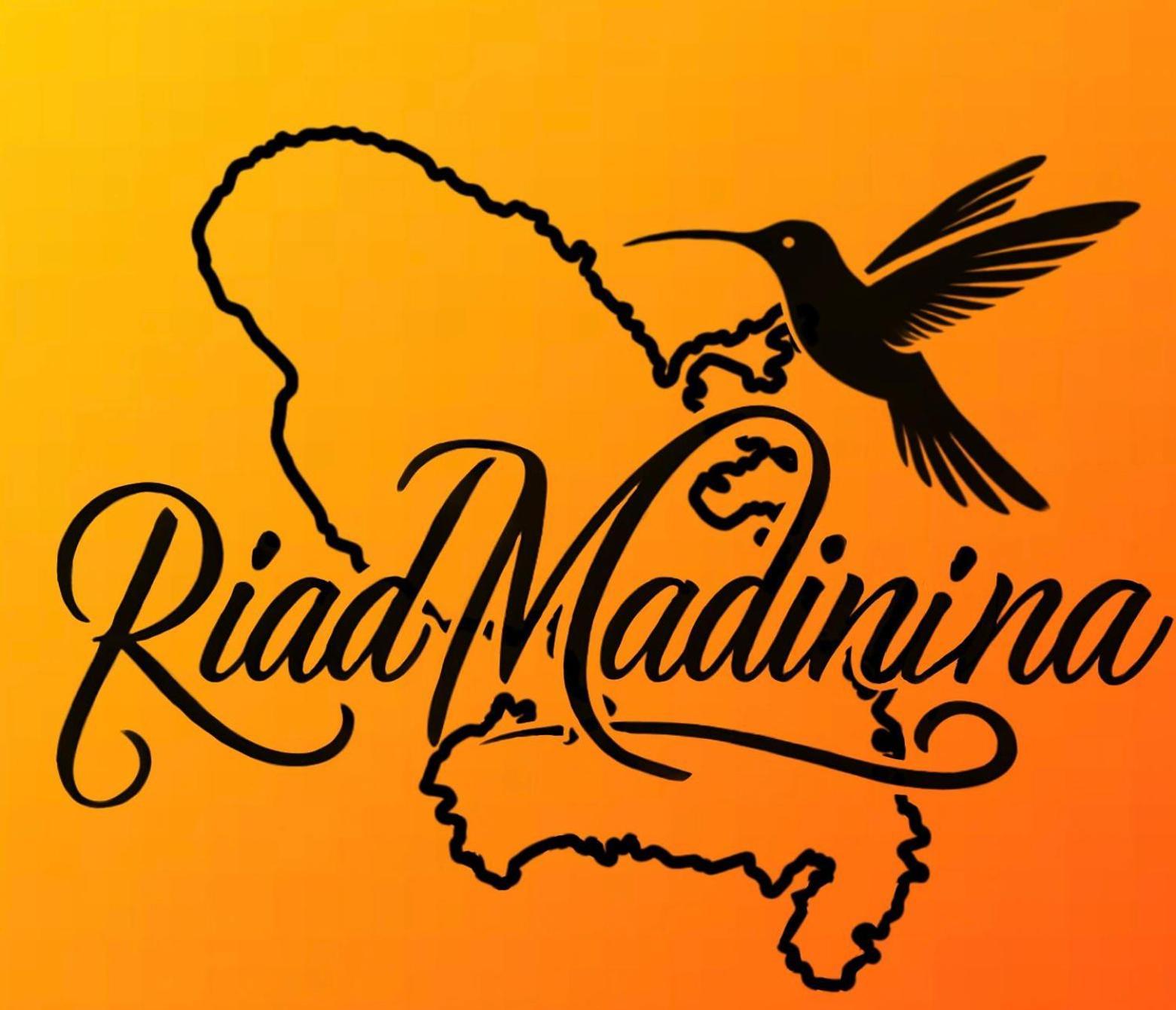 Riad Madinina Марракеш Экстерьер фото